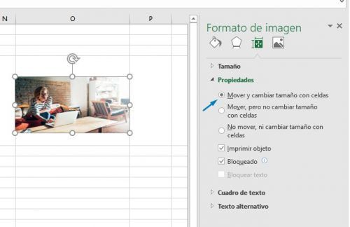 Cómo insertar una imagen en una celda de Excel - Just EXW